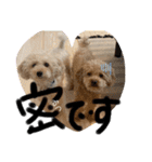 oyadog（個別スタンプ：23）