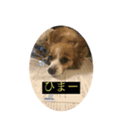 2020ss "Angie"（個別スタンプ：8）