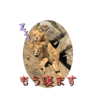 2020ss "Angie"（個別スタンプ：23）