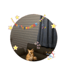 2020ss "Angie"（個別スタンプ：32）
