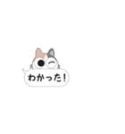 ちょっと口悪い猫/ふきだし（個別スタンプ：3）