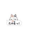 ちょっと口悪い猫/ふきだし（個別スタンプ：17）