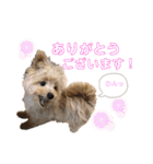 おんぷさんスタンプ（個別スタンプ：1）