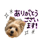 おんぷさんスタンプ（個別スタンプ：2）