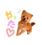 おんぷさんスタンプ（個別スタンプ：16）