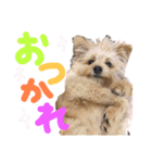 おんぷさんスタンプ（個別スタンプ：18）