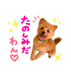 おんぷさんスタンプ（個別スタンプ：20）
