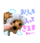 おんぷさんスタンプ（個別スタンプ：22）