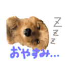 おんぷさんスタンプ（個別スタンプ：23）