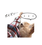 まるちゃんのふじすけ語スタンプ（個別スタンプ：18）