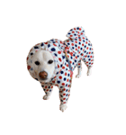 柴犬BAY4（個別スタンプ：15）