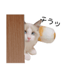 #シエルかわいいスタンプ（個別スタンプ：7）