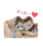 #シエルかわいいスタンプ（個別スタンプ：12）