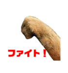ゆーじろ0（個別スタンプ：1）