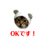 ゆーじろ0（個別スタンプ：5）