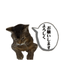 ゆーじろ0（個別スタンプ：6）
