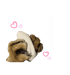 ゆーじろ0（個別スタンプ：9）