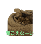 ゆーじろ0（個別スタンプ：10）
