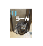 ゆーじろ0（個別スタンプ：13）