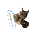 ゆーじろ0（個別スタンプ：14）