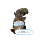 ゆーじろ0（個別スタンプ：15）