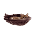 癒しのミーちゃん（個別スタンプ：7）