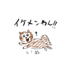 Taa's Animals DOGM（個別スタンプ：33）