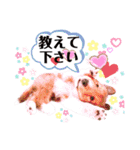 パピシェル⑧王子kun【気持ち編】vol.2（個別スタンプ：7）