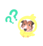 パピシェル⑧王子kun【気持ち編】vol.2（個別スタンプ：9）