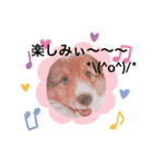 パピシェル⑧王子kun【気持ち編】vol.2（個別スタンプ：10）