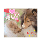 パピシェル⑧王子kun【気持ち編】vol.2（個別スタンプ：14）