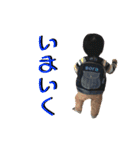 ソランプII（個別スタンプ：9）