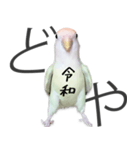 どや顔インコの伝言みて（個別スタンプ：2）