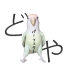どや顔インコの伝言みて（個別スタンプ：32）