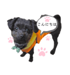 黒犬ぽめぷ「日常②」（個別スタンプ：3）