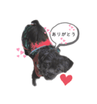 黒犬ぽめぷ「日常②」（個別スタンプ：6）