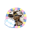すきすきわんちゃん（個別スタンプ：1）
