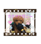 すきすきわんちゃん（個別スタンプ：2）