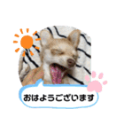 すきすきわんちゃん（個別スタンプ：5）