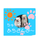 すきすきわんちゃん（個別スタンプ：7）