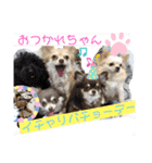 すきすきわんちゃん（個別スタンプ：9）