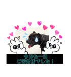 すきすきわんちゃん（個別スタンプ：11）