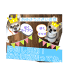 すきすきわんちゃん（個別スタンプ：19）