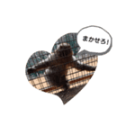 モンキートーク（個別スタンプ：2）