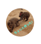 モンキートーク（個別スタンプ：5）