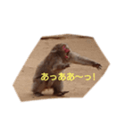 モンキートーク（個別スタンプ：8）
