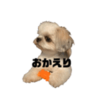小太郎の日常スタンプ ver.1.0（個別スタンプ：24）