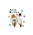 子猫の「のりうに」（個別スタンプ：4）