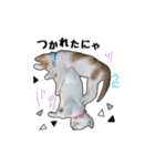 子猫の「のりうに」（個別スタンプ：5）