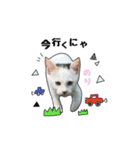 子猫の「のりうに」（個別スタンプ：7）